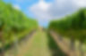 iStock-610977042.jpg
