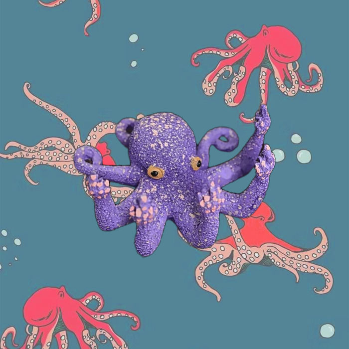 Thumbnail: Middle Finger Octopus