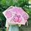 Thumbnail: Pig Pig Umbrella