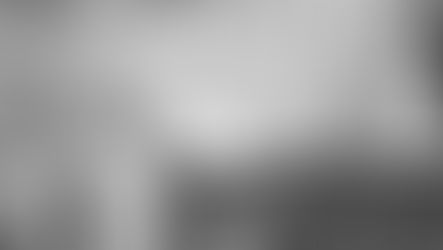 7. «Contemplativus in actione»