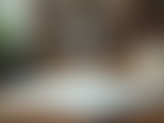 How to Succeed in Learning a New Language