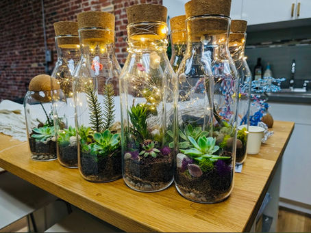 Terrarium Workshop in San Francisco