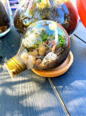 Terrarium Making Workshop in San Francisco
