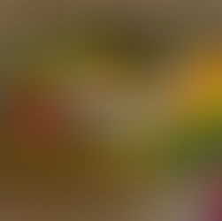 La magia de la publicidad en Google