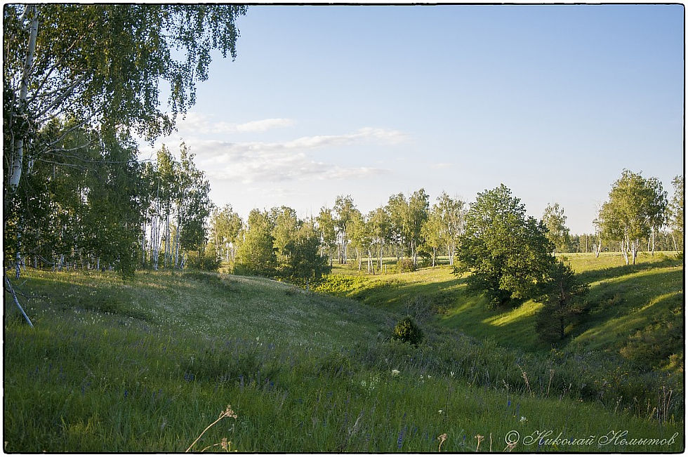 DSC_5108