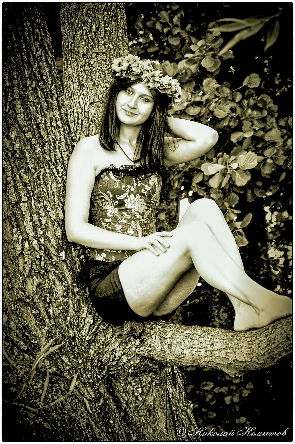 DSC_9537-1