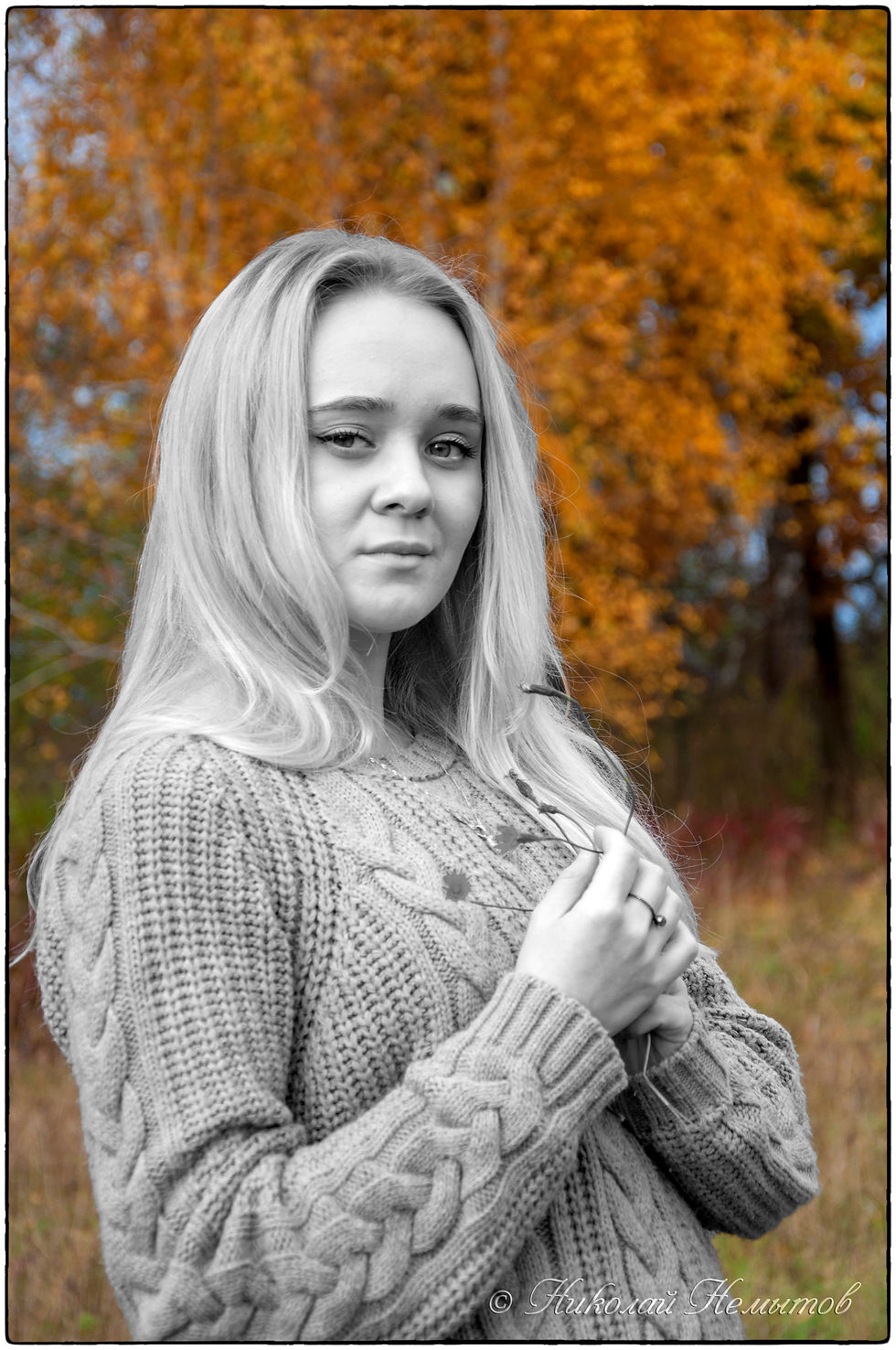 DSC_2018