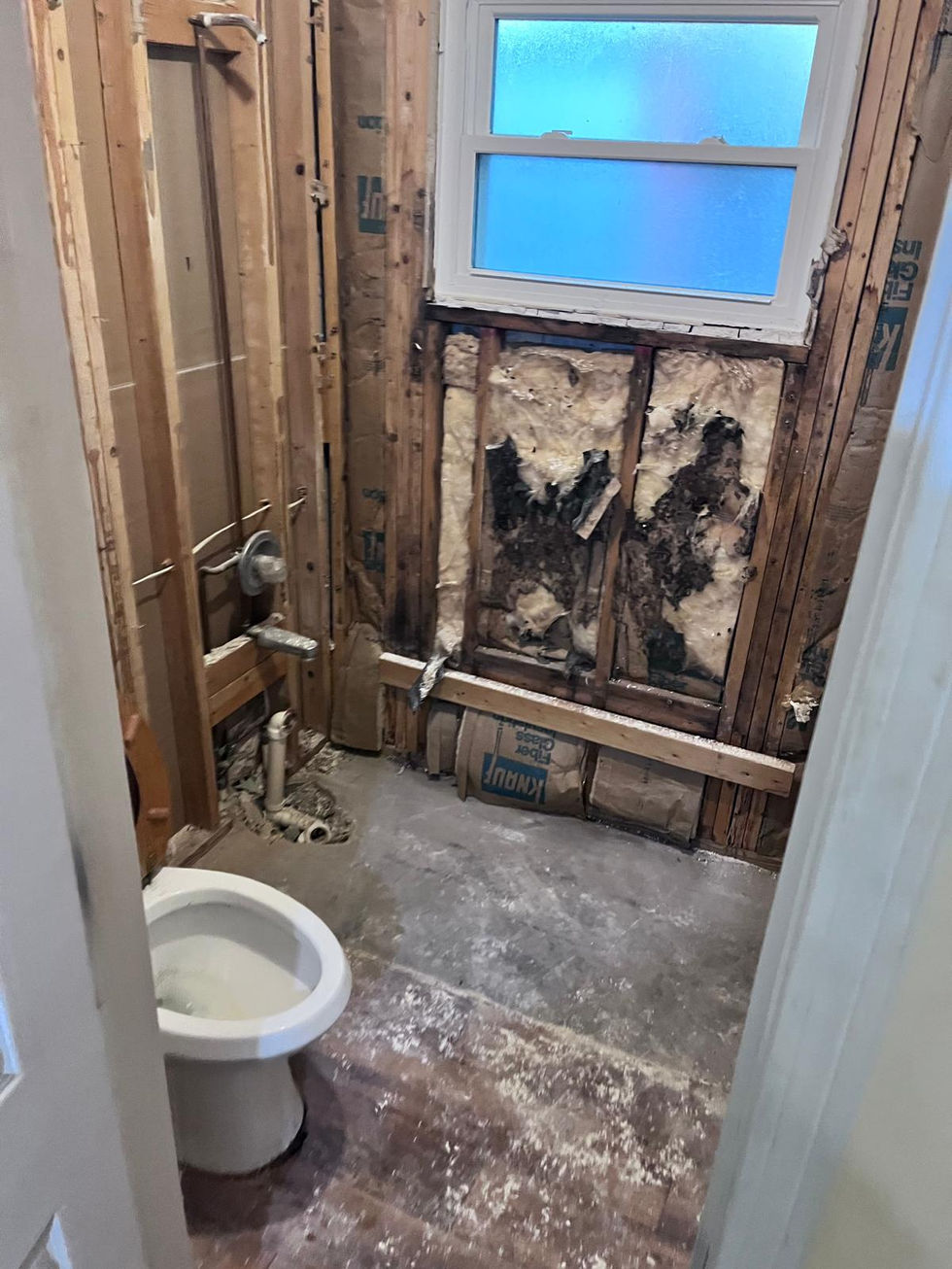 Bathroom transformation