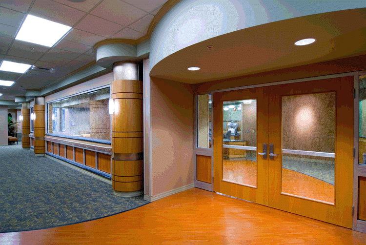 Henry Ford Allegiance Health Center