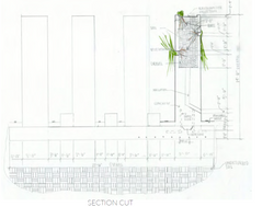 SECTION CUT