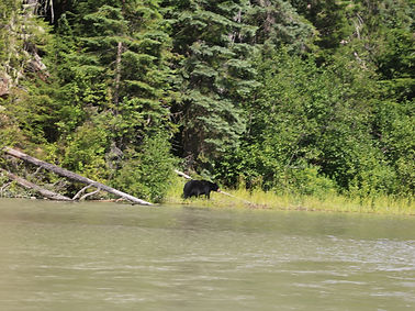 Beer bij Blue Lake river