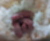 pic 1.jpg