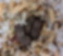 pic 3.jpg