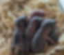 Pic 2_edited.jpg