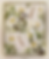 Thumbnail: Preserve Tropical Flowers