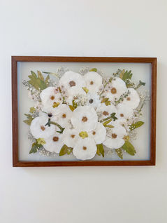 White Poppies Preservation