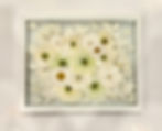 Thumbnail: Custom Pressed Floral White Float Frame