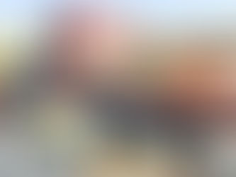 Pumpkin Haul Weekend: Carvers, Porch Beauties AND Half-Off Plants