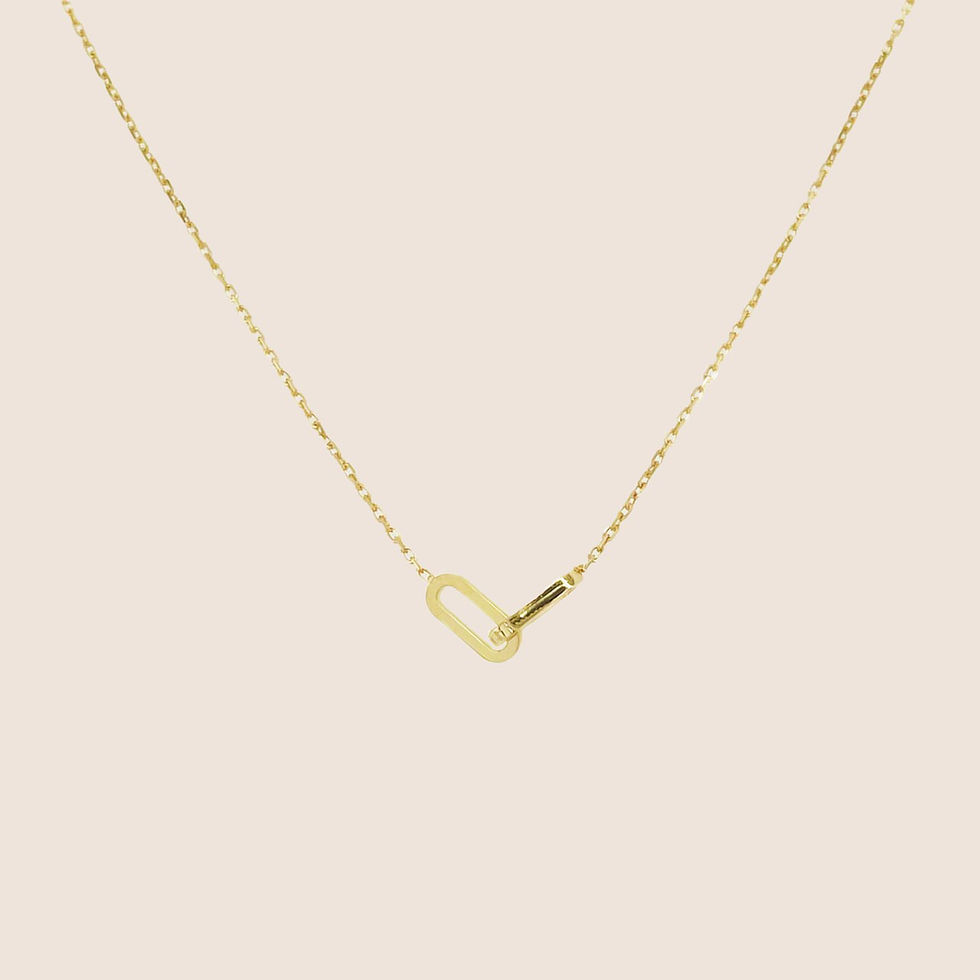 14k Gold Tiny Paperclip Link Necklace