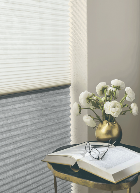 HoneyComb Blinds
