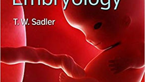 Langman's Medical Embryology 14th ed.