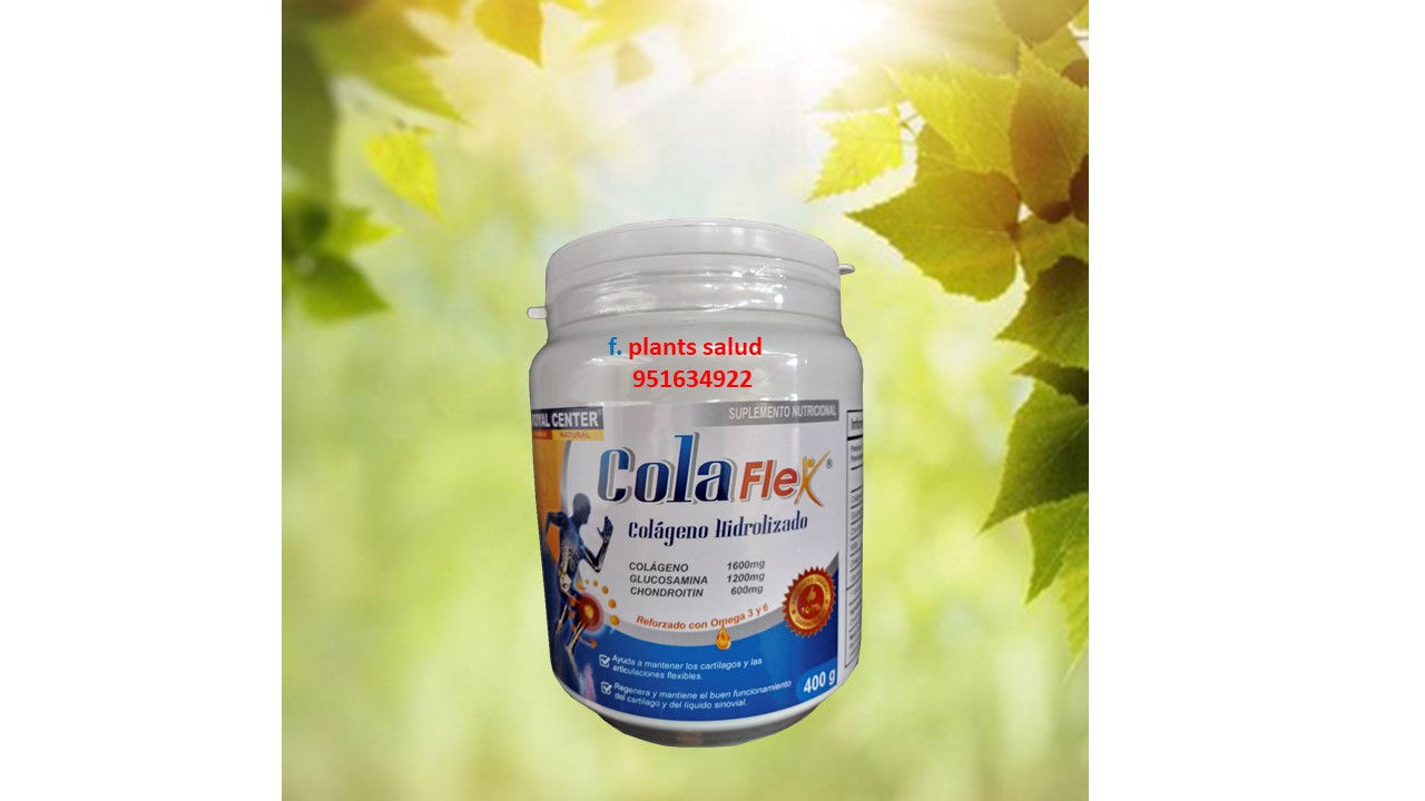 colaflex colageno hidrolizado glucosamine msm royal center 400gr