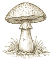 Gemini_Generated_Image_s0gx08s0gx08s0gx_edited.png
