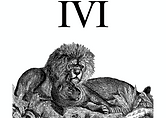 IVI Represent