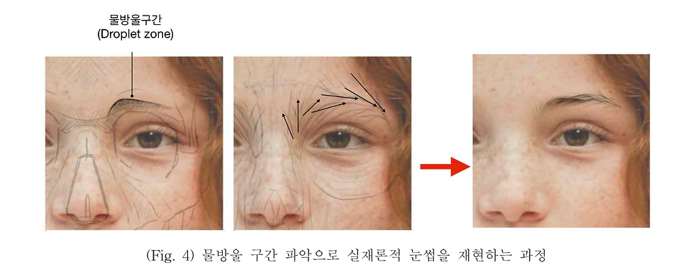 다니부띠끄 디엘기법 자연눈썹 논문이미지