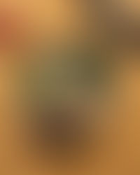 MUSHROOM RAMEN WITH SESAME TOFU