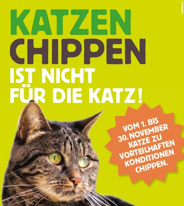 Chip Aktion Im November 2017