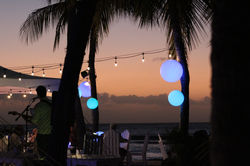 Dinner in Aruba