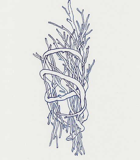 tangle_01.jpg