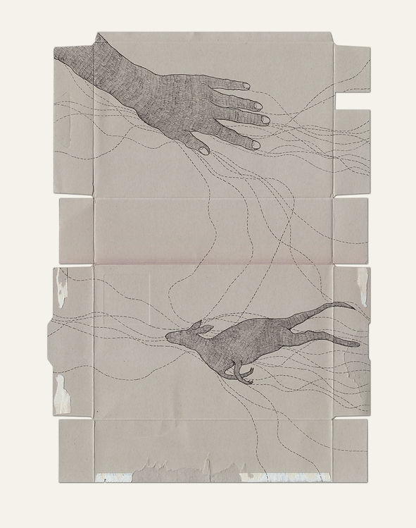 kartondraw_hand-kangoroo_01_fond.jpg