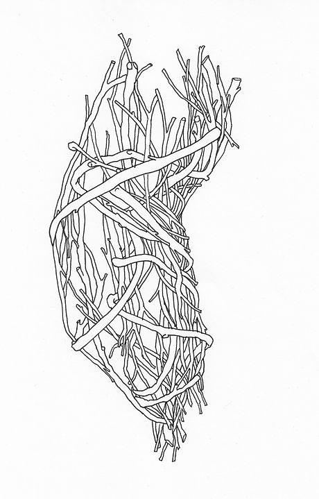 tangle_03.jpg