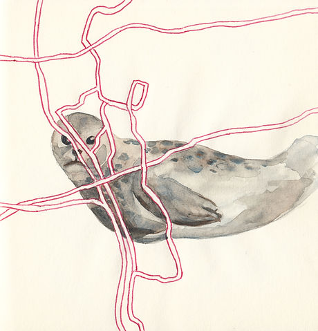 mapping_san-diego_2018_1.jpg