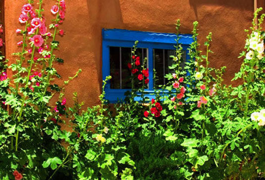 Flowers in front of Adobe home
