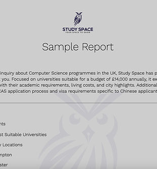 Study Space Sample Report 2_edited.jpg