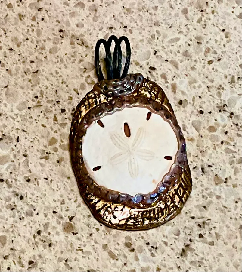 Sand Dollar — photo 3