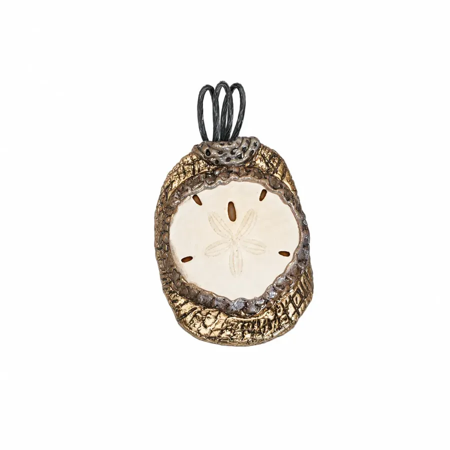 Sand Dollar — photo 2
