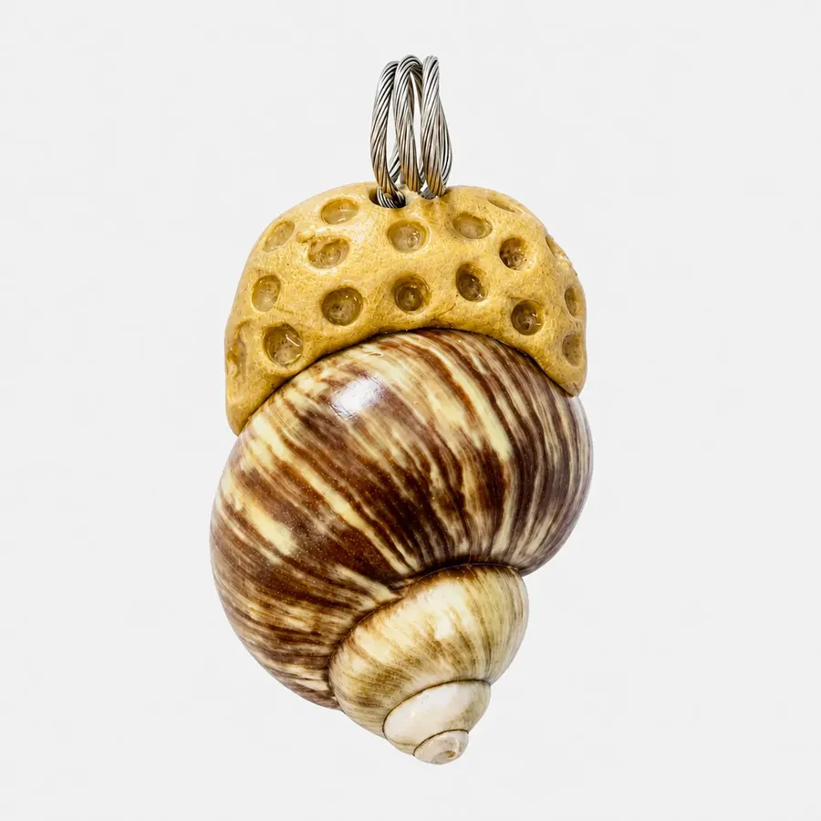 Seashell~Green Turbo — photo 2