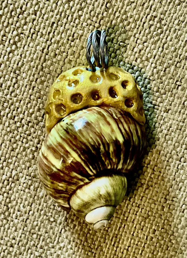 Seashell~Green Turbo — photo 3