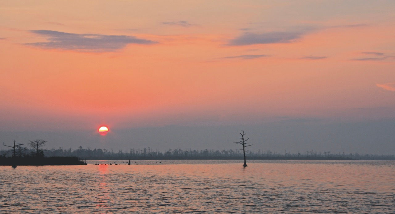 ALLIGATOR RIVER MORNING ANCHORAGE -  NC - 37”W x 20”H