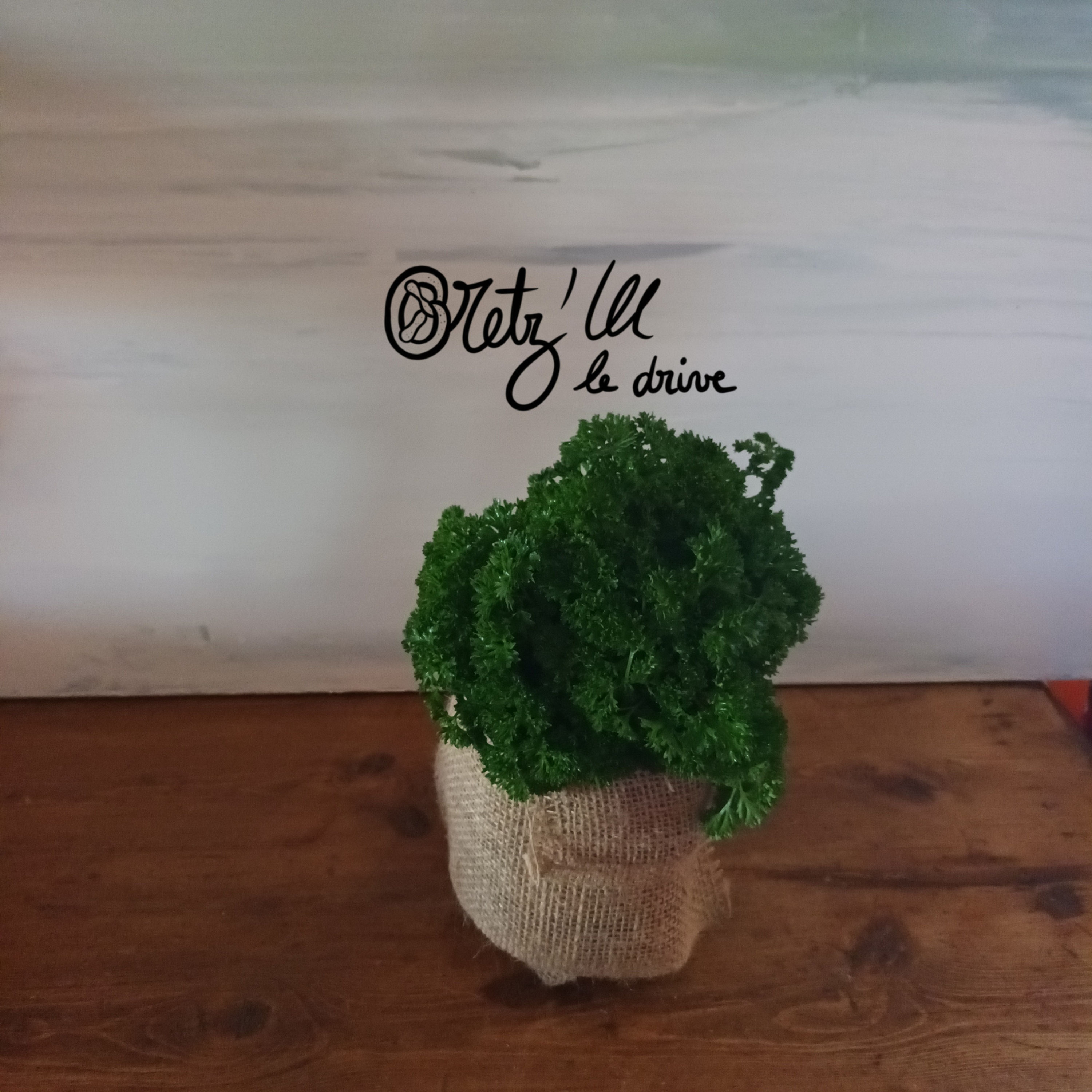 Bouquet de persil bio