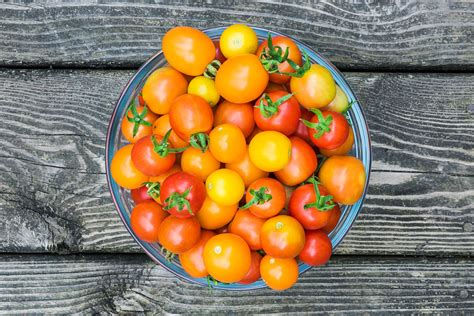Tomates-cerises bio