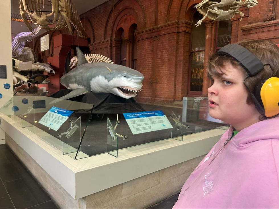 94EF32F1_8C5E_449C_A226_FB68D6A7A65A_446e0051-dfd7-4c3c-af71-2eeb6c756aef