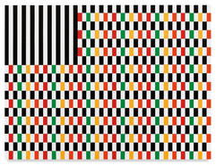 RG Untitled (Flag III)(catalogue).32464 copy.jpeg