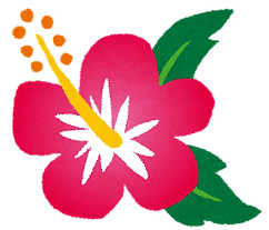 flower_hibiscus.png
