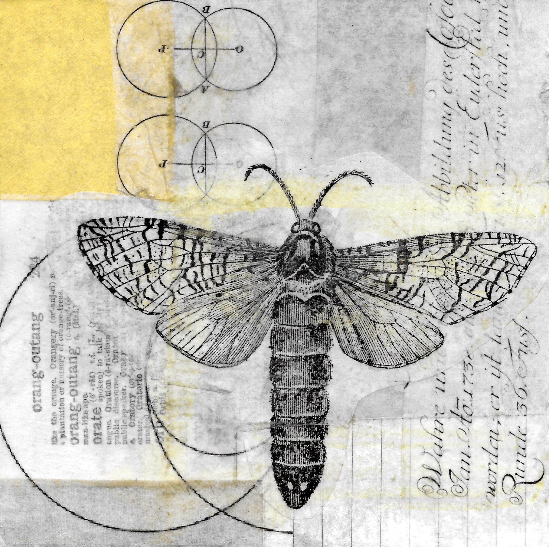 Collage Art Night - Birds & Bees!