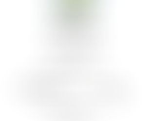 Saturday 16th November Ladies 9 Holes